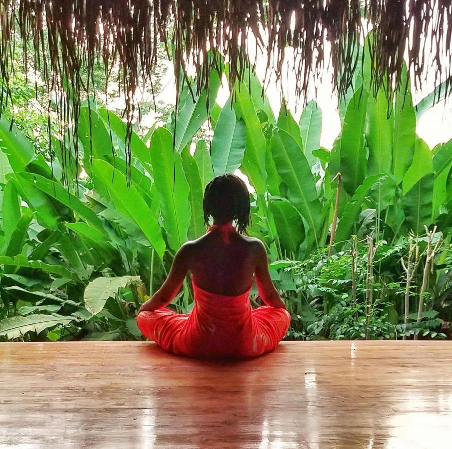 Jungle Lodge At Wild Sun Rescue Center Cabuya  外观 照片