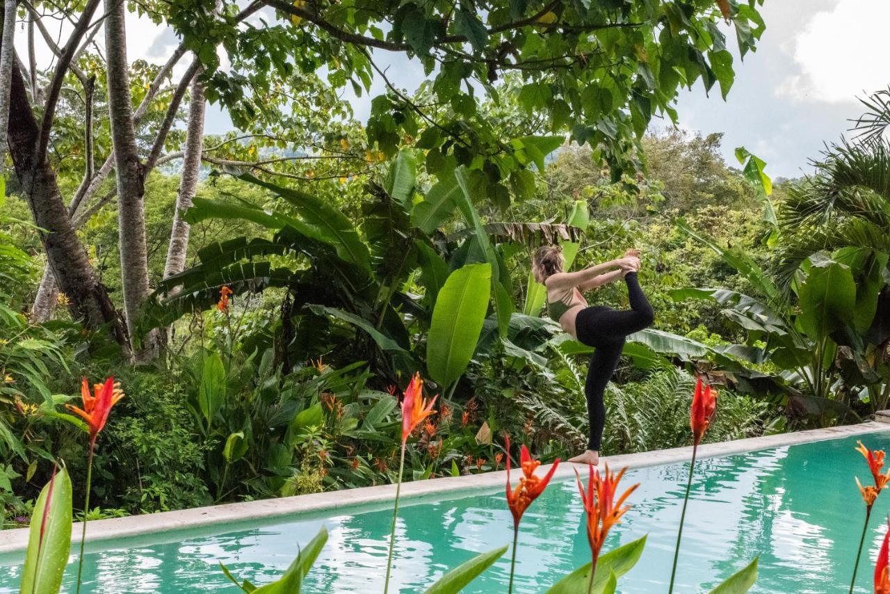 Jungle Lodge At Wild Sun Rescue Center Cabuya  外观 照片