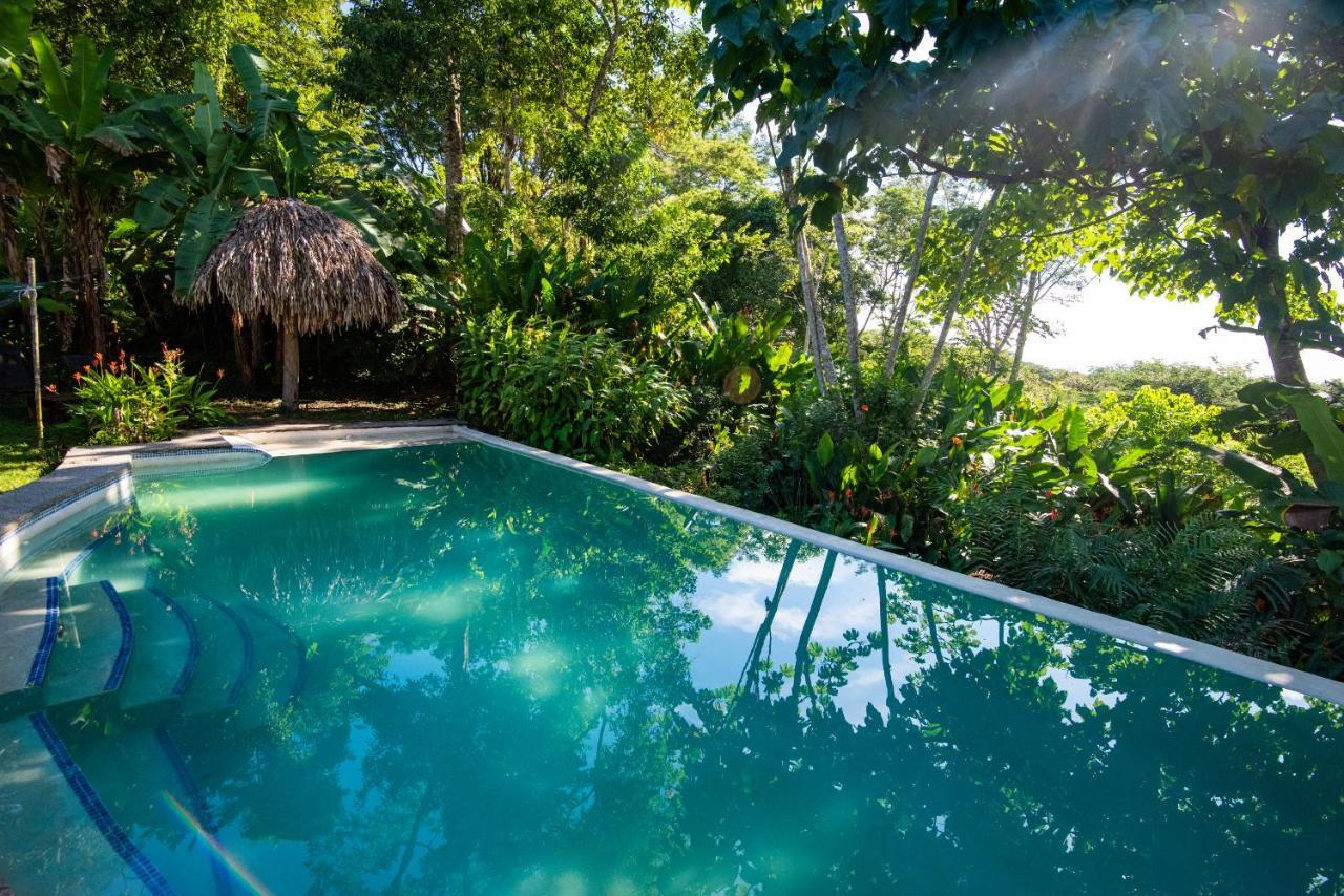 Jungle Lodge At Wild Sun Rescue Center Cabuya  外观 照片